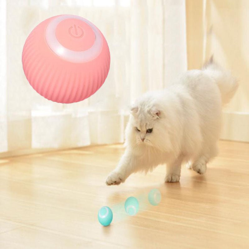 Interactive Ball - TechNest